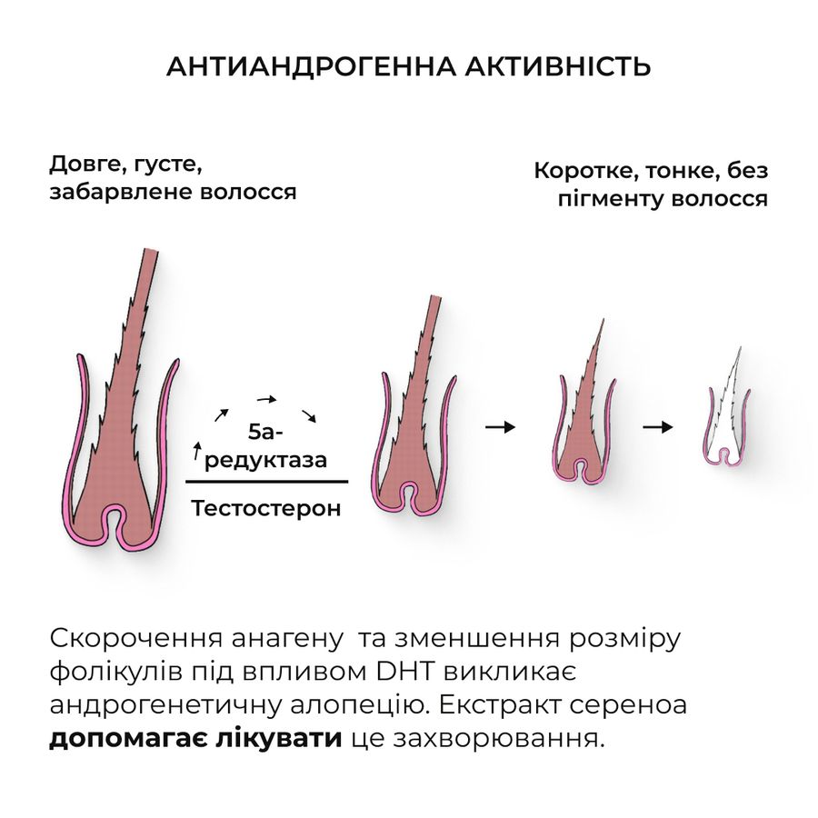 Шампунь та сироватка для волосся Concentrate Serenoa + кондиціонер проти випадіння волосся - фото №1