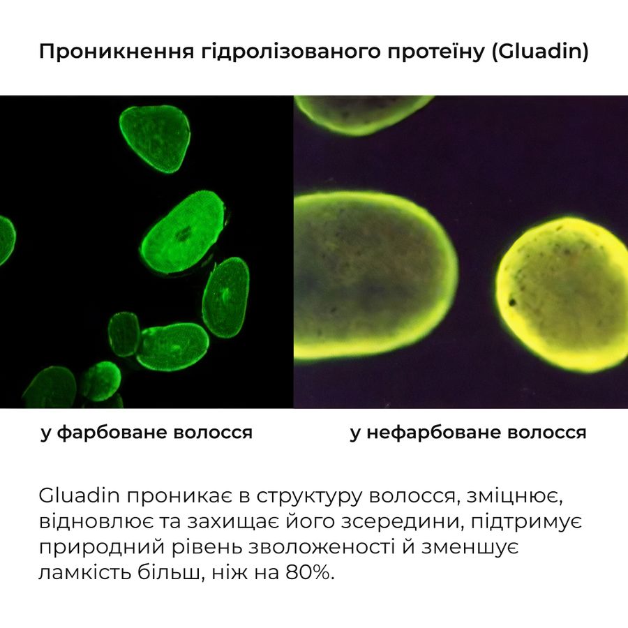 Шампунь та сироватка для волосся Concentrate Serenoa + кондиціонер проти випадіння волосся - фото №1