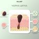 Basic set for normal skin care Hillary Winter care for normal skin
