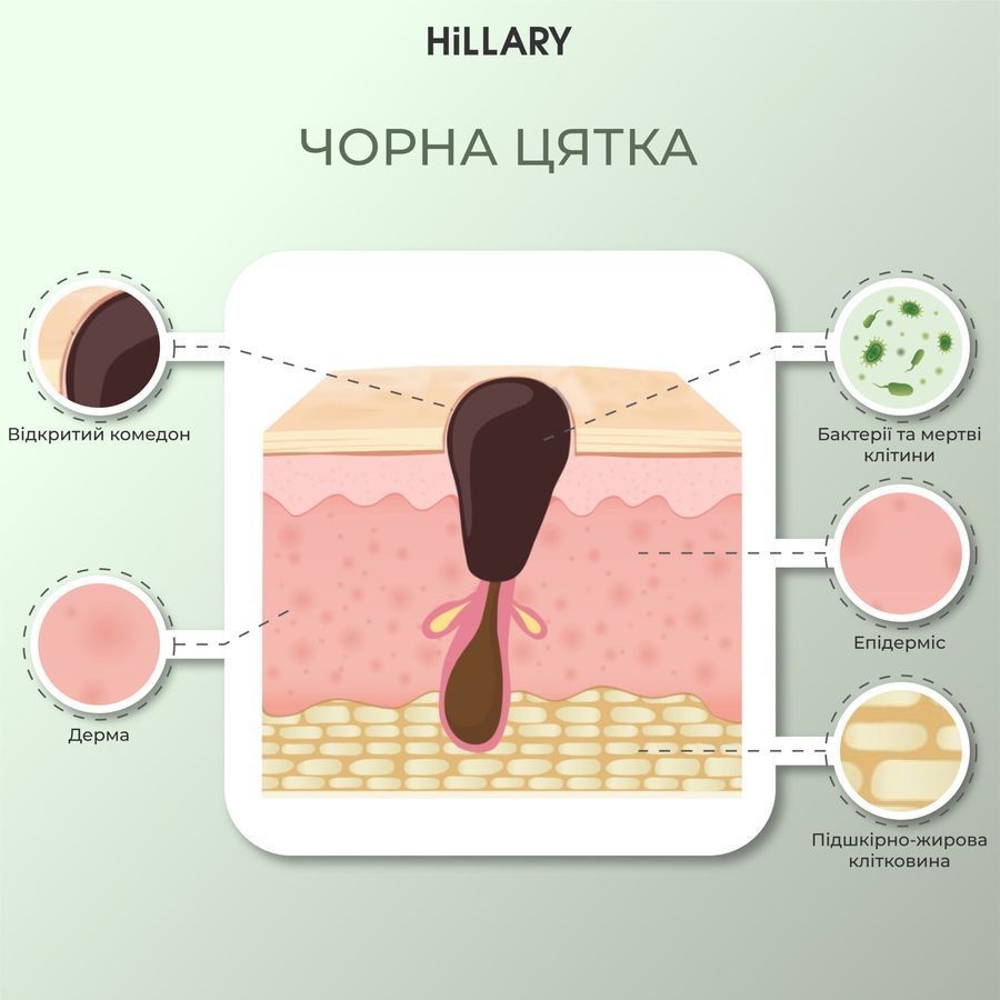 Basic set for normal skin care Hillary Winter care for normal skin
