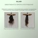 Сыворотка для волос Concentrate Serenoa + Шампунь для всех типов волос Nori Micellar и гребень - фото