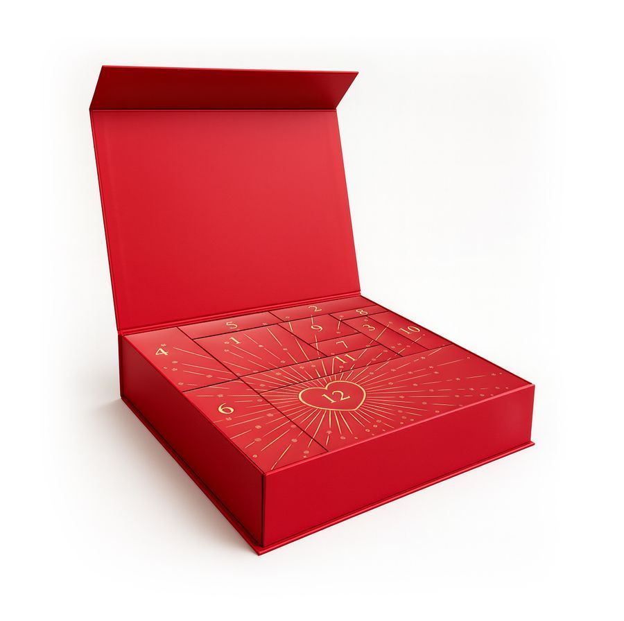 Hillary 12 days of secret ADVENT CALENDAR