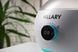 Воскоплав цифровий баночний Hillary Professional Wax Heater - фото