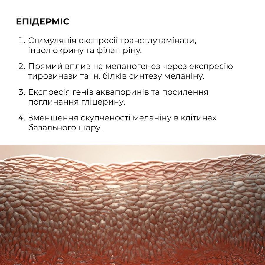 Комплекс глибокого нічного відновлення шкіри ReNuAge Retinol & Collagen Night Ritual - фото №1