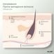 Энзимный пилинг для кожи головы + Сыворотка для роста волос MULTI-ACTIVE HOP CONES - фото