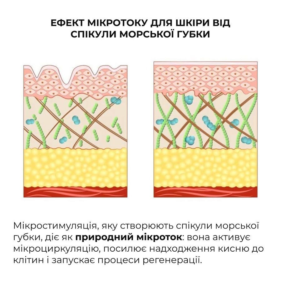 Комплекс базового догляду для оновлення та захисту шкіри Hillary Basic Care Skin Renewal & Protection Set - фото №1